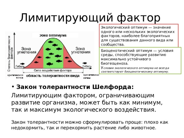 Лимитирующий фактор Экологический оптимум — значение одного или нескольких экологических факторов, наиболее благоприятных для существования данного вида или сообщества. Биоценотический оптимум — условия среды, способствующие развитию максимально устойчивого биогеоценоза. У словия экологического оптимума не всегда соответствуют биоценотическому оптимуму. Закон толерантности Шелфорда: Лимитирующим фактором, ограничивающим развитие организма, может быть как минимум, так и максимум экологического воздействия. Закон толерантности можно сформулировать проще: плохо как недокормить, так и перекормить растение либо животное. 