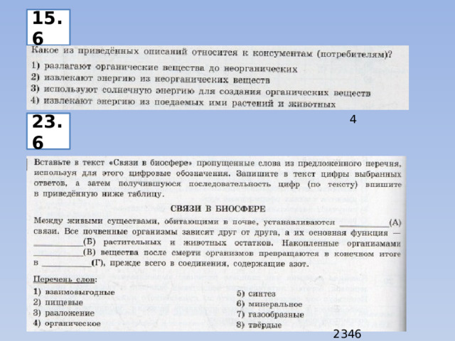 15.6 4 23.6 2346 