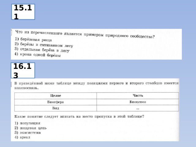 15.11 16.13 