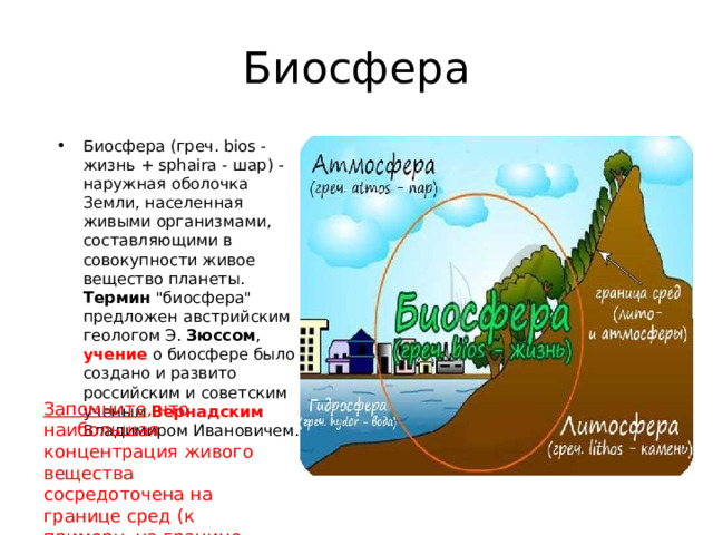 Биосфера Биосфера (греч. bios - жизнь + sphaira - шар) - наружная оболочка Земли, населенная живыми организмами, составляющими в совокупности живое вещество планеты. Термин 