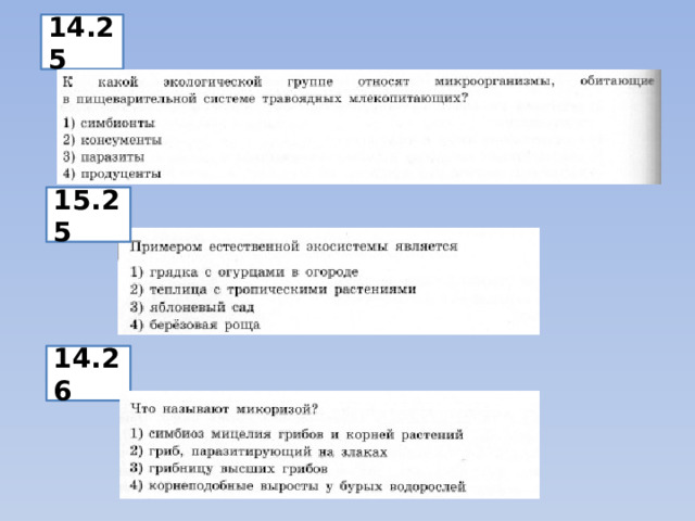14.25 15.25 14.26 