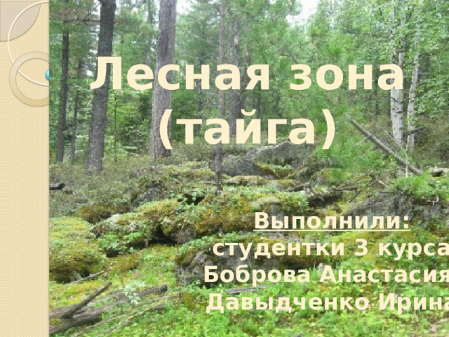 Лесная зона (тайга) Выполнили: студентки 3 курса Боброва Анастасия, Давыдченко Ирина 