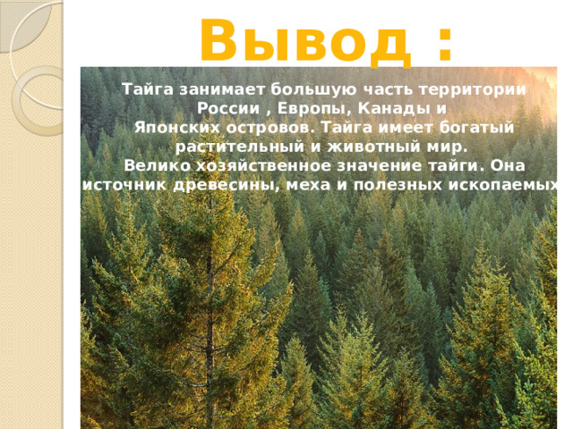 Вывод : Тайга занимает большую часть территории России , Европы, Канады и Японских островов. Тайга имеет богатый растительный и животный мир. Велико хозяйственное значение тайги. Она источник древесины, меха и полезных ископаемых.  