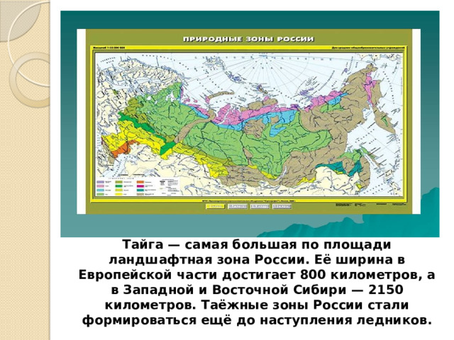 Тайга — самая большая по площади ландшафтная зона России. Её ширина в Европейской части достигает 800 километров, а в Западной и Восточной Сибири — 2150 километров. Таёжные зоны России стали формироваться ещё до наступления ледников. 