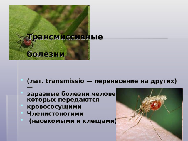    Трансмиссивные  болезни   (лат. transmissio — перенесение на других) — заразные болезни человека, возбудители которых передаются кровососущими Членистоногими  (насекомыми и клещами). 