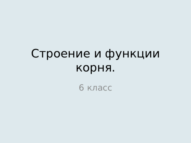 Строение и функции корня. 6 класс 