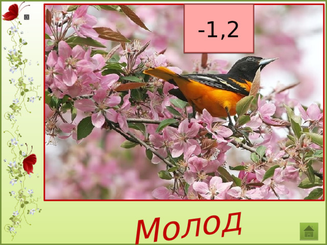 Молодцы! -1,2  