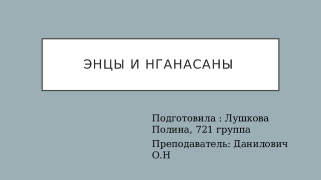 Энцы и Нганасаны Подготовила : Лушкова Полина, 721 группа Преподаватель: Данилович О.Н 