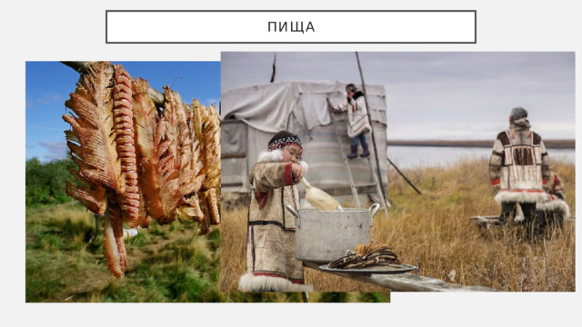 ПИЩА 