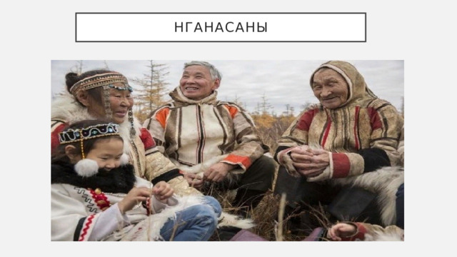 Нганасаны 