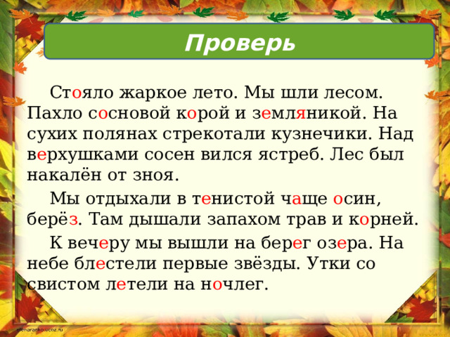 Проверь  Ст о яло жаркое лето. Мы шли лесом. Пахло с о сновой к о рой и з е мл я никой. На сухих полянах стрекотали кузнечики. Над в е рхушками сосен вился ястреб. Лес был накалён от зноя.  Мы отдыхали в т е нистой ч а ще о син, берё з . Там дышали запахом трав и к о рней.  К веч е ру мы вышли на бер е г оз е ра. На небе бл е стели первые звёзды. Утки со свистом л е тели на н о члег. 