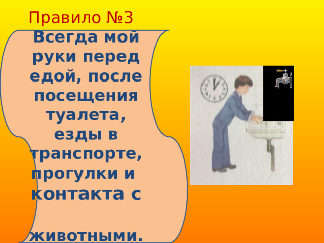 Правило №3 Всегда мой руки перед едой, после посещения туалета, езды в транспорте, прогулки и контакта с животными.  