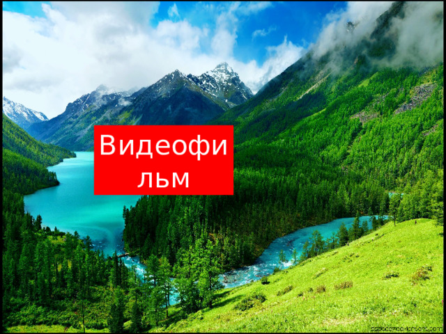 Видеофильм 