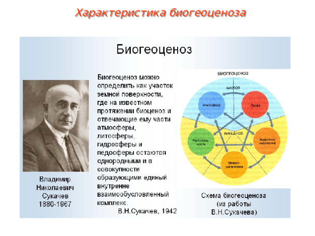 Характеристика биогеоценоза 