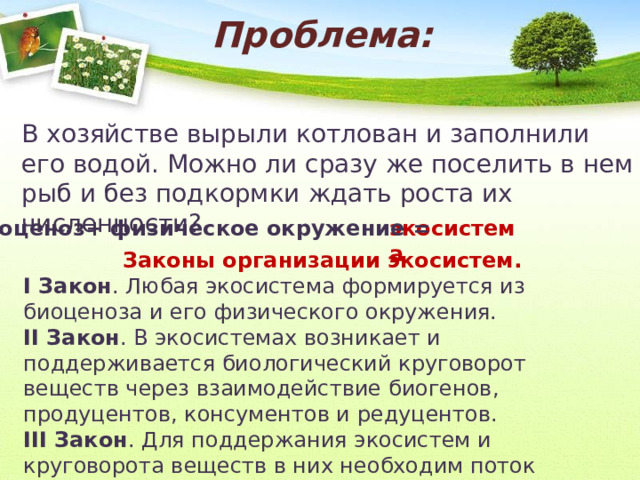 Проблема: В хозяйстве вырыли котлован и заполнили его водой. Можно ли сразу же поселить в нем рыб и без подкормки ждать роста их численности?  биоценоз+ физическое окружение = экосистема Законы организации экосистем. I Закон . Любая экосистема формируется из биоценоза и его физического окружения. II Закон . В экосистемах возникает и поддерживается биологический круговорот веществ через взаимодействие биогенов, продуцентов, консументов и редуцентов. III Закон . Для поддержания экосистем и круговорота веществ в них необходим поток энергии. 