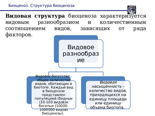 Биоценоз. Структура биоценоза Видовая структура биоценоза характеризуется видовым разнообразием и количественным соотношением видов, зависящих от ряда факторов. Видовое разнообразие Видовое богатство – общее количество видов, обитающих в биотопе. Каждый вид в биоценозе представлен популяцией (бедные (10-100 видов)и богатые (10000-1000000 видов) биоценозы). Видовая насыщенность – количество видов, приходящихся на единицу площади или единицу объема биотопа. 