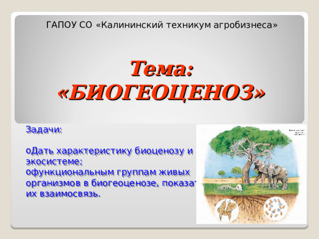 ГАПОУ СО «Калининский техникум агробизнеса»  Тема:  «БИОГЕОЦЕНОЗ» Задачи: Дать характеристику биоценозу и экосистеме; функциональным группам живых организмов в биогеоценозе, показать их взаимосвязь.   