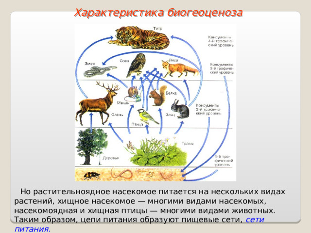 Характеристика биогеоценоза Но растительноядное насекомое питается на нескольких видах растений, хищное насекомое — многими видами насекомых, насекомоядная и хищная птицы — многими видами животных. Таким образом, цепи питания образуют пищевые сети, сети питания .  