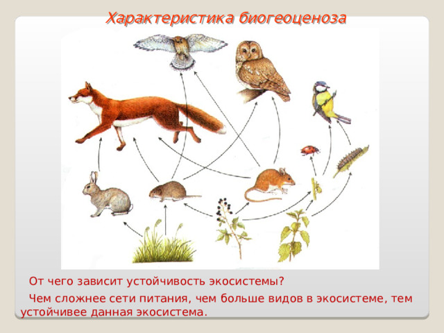 Характеристика биогеоценоза От чего зависит устойчивость экосистемы? Чем сложнее сети питания, чем больше видов в экосистеме, тем устойчивее данная экосистема.  