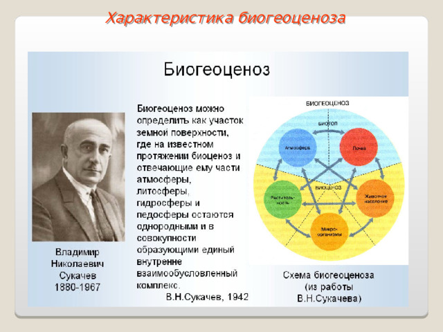 Характеристика биогеоценоза 