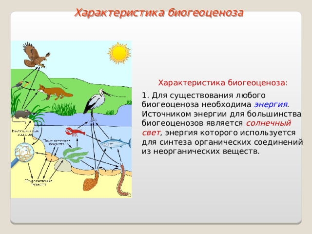 Характеристика биогеоценоза Характеристика биогеоценоза: 1 . Для существования любого биогеоценоза необходима энергия . Источником энергии для большинства биогеоценозов является солнечный свет , энергия которого используется для синтеза органических соединений из неорганических веществ.  