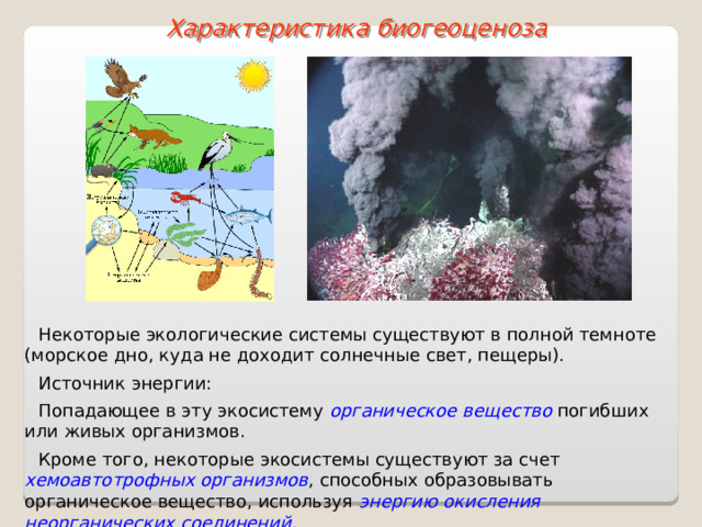 Характеристика биогеоценоза Некоторые экологические системы существуют в полной темноте (морское дно, куда не доходит солнечные свет, пещеры). Источник энергии: Попадающее в эту экосистему органическое вещество погибших или живых организмов. Кроме того, некоторые экосистемы существуют за счет хемоавтотрофных организмов , способных образовывать органическое вещество, используя энергию окисления неорганических соединений .  