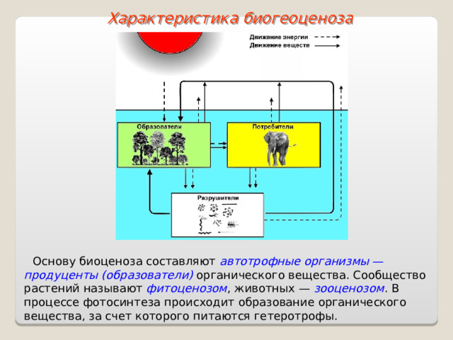 Характеристика биогеоценоза Основу биоценоза составляют автотрофные организмы — продуценты (образователи) органического вещества. Сообщество растений называют фитоценозом , животных — зооценозом . В процессе фотосинтеза происходит образование органического вещества, за счет которого питаются гетеротрофы.  