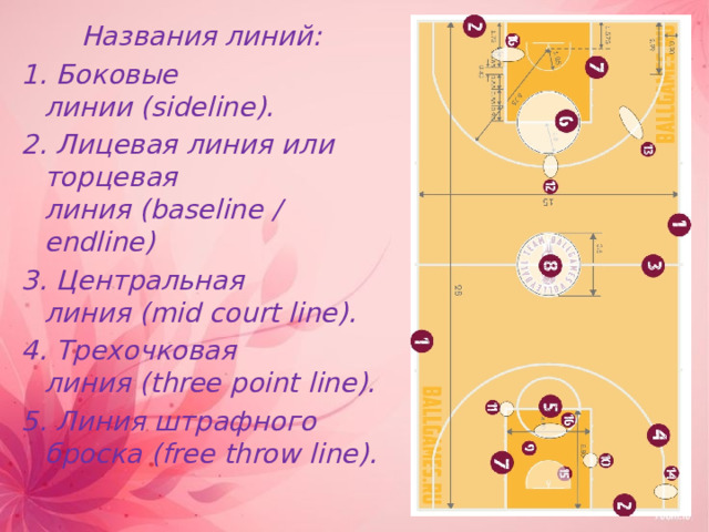 Названия линий: 1. Боковые линии (sideline). 2. Лицевая линия или торцевая линия (baseline / endline) 3. Центральная линия (mid court line). 4. Трехочковая линия (three point line). 5. Линия штрафного броска (free throw line). 