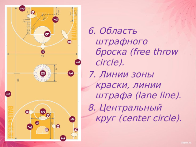 6. Область штрафного броска (free throw circle). 7. Линии зоны краски, линии штрафа (lane line). 8. Центральный круг (center circle). 