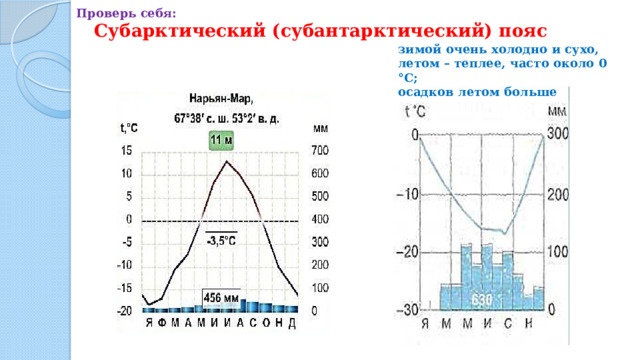 Проверь себя: Субарктический (субантарктический) пояс зимой очень холодно и сухо, летом – теплее, часто около 0 °С; осадков летом больше 