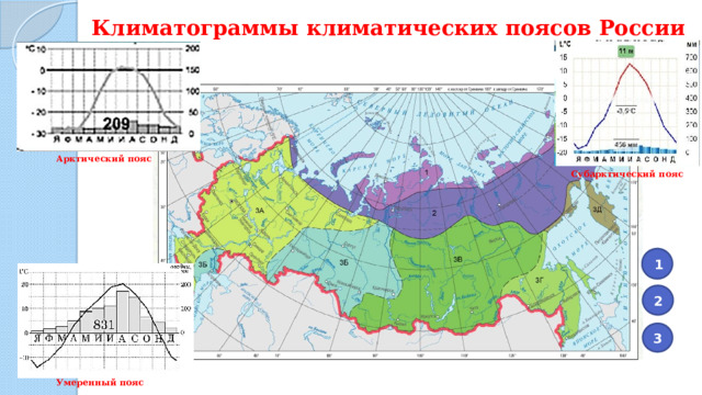 Климатограммы климатических поясов России Арктический пояс Субарктический пояс 1 2 3 Умеренный пояс 