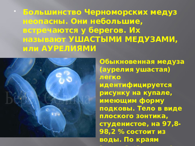 Большинство Черноморских медуз неопасны. Они небольшие, встречаются у берегов. Их называют УШАСТЫМИ МЕДУЗАМИ, или АУРЕЛИЯМИ Обыкновенная медуза (аурелия ушастая) легко идентифицируется рисунку на купале, имеющим форму подковы. Тело в виде плоского зонтика, студенистое, на 97,8-98,2 % состоит из воды. По краям зонтика расположены многочисленные короткие полые щупальца . 