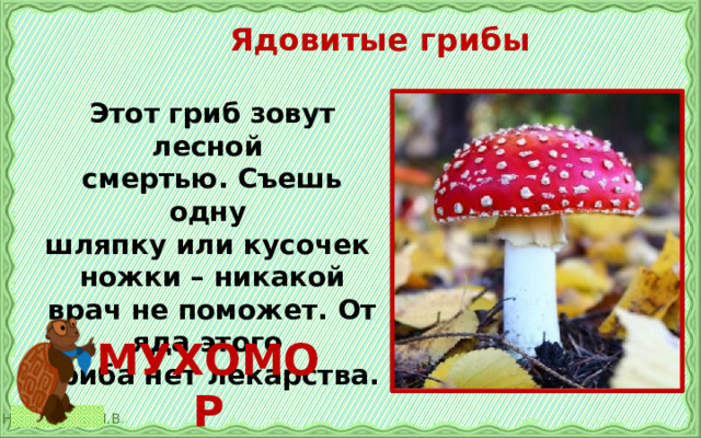 Несъедобные грибы окружающий. Грибы 2 класс окружающий мир. Ядовитые грибы окружающий мир 4 класс. Несъедобные грибы. Несъедобные грибы в лесу 2 класс.