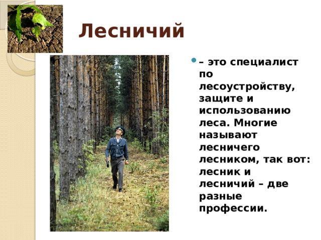 Лесничий – это специалист по лесоустройству, защите и использованию леса. Многие называют лесничего лесником, так вот: лесник и лесничий – две разные профессии. 