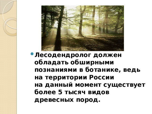    Лесодендролог должен обладать обширными познаниями в ботанике, ведь на территории России на данный момент существует более 5 тысяч видов древесных пород. 