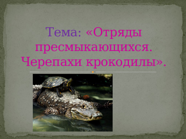 Тема:  «Отряды пресмыкающихся. Черепахи крокодилы». 