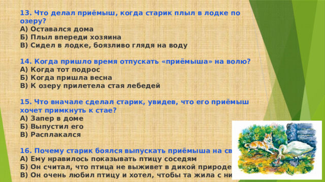 13. Что делал приёмыш, когда старик плыл в лодке по озеру? А) Оставался дома Б) Плыл впереди хозяина В) Сидел в лодке, боязливо глядя на воду  14. Когда пришло время отпускать «приёмыша» на волю? А) Когда тот подрос Б) Когда пришла весна В) К озеру прилетела стая лебедей  15. Что вначале сделал старик, увидев, что его приёмыш хочет примкнуть к стае? А) Запер в доме Б) Выпустил его В) Расплакался  16. Почему старик боялся выпускать приёмыша на свободу? А) Ему нравилось показывать птицу соседям Б) Он считал, что птица не выживет в дикой природе В) Он очень любил птицу и хотел, чтобы та жила с ним 