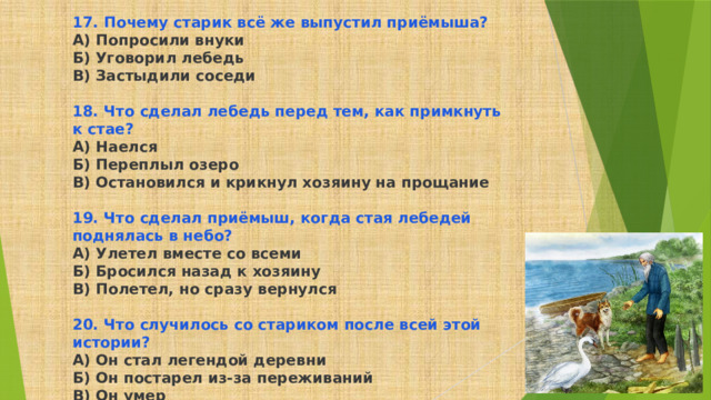 17. Почему старик всё же выпустил приёмыша? А) Попросили внуки Б) Уговорил лебедь В) Застыдили соседи  18. Что сделал лебедь перед тем, как примкнуть к стае? А) Наелся Б) Переплыл озеро В) Остановился и крикнул хозяину на прощание  19. Что сделал приёмыш, когда стая лебедей поднялась в небо? А) Улетел вместе со всеми Б) Бросился назад к хозяину В) Полетел, но сразу вернулся  20. Что случилось со стариком после всей этой истории? А) Он стал легендой деревни Б) Он постарел из-за переживаний В) Он умер 