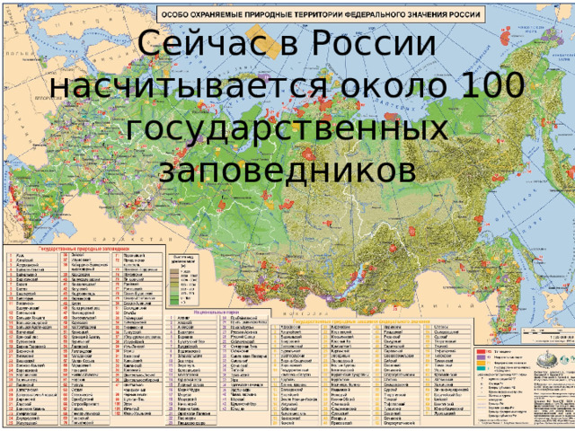 Сейчас в России насчитывается около 100 государственных заповедников 