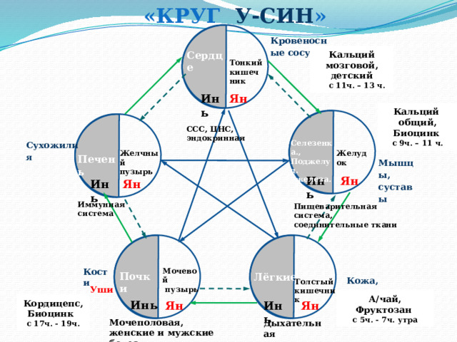 Круг усин картинка