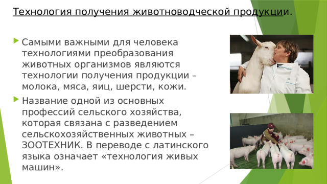 Технология получения животноводческой продукции 6 класс технология презентация