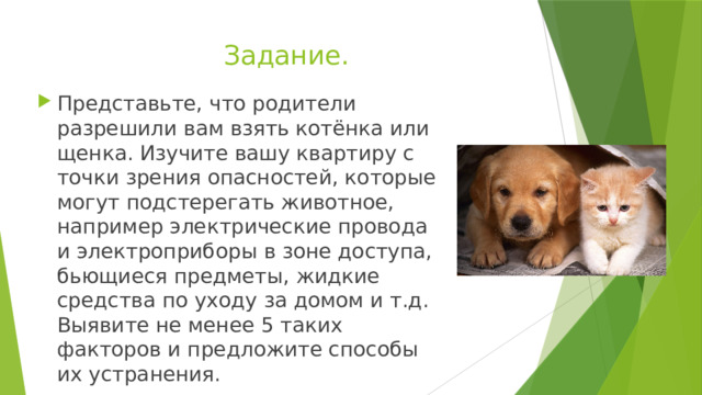 Изучив ваши. Представьте что родители разрешили вам взять котенка или щенка. Найти рассказ там где взяли котенка или щенка домой.