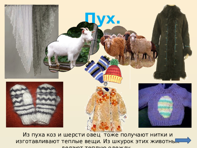 Пух. Из пуха коз и шерсти овец тоже получают нитки и изготавливают теплые вещи. Из шкурок этих животных делают теплую одежду . 