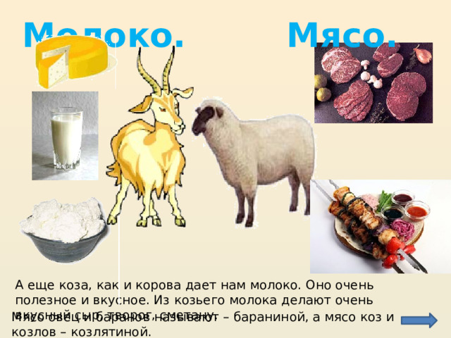 Молоко. Мясо. А еще коза, как и корова дает нам молоко. Оно очень полезное и вкусное. Из козьего молока делают очень вкусный сыр, творог, сметану. Мясо овец и баранов называют – бараниной, а мясо коз и козлов – козлятиной. 