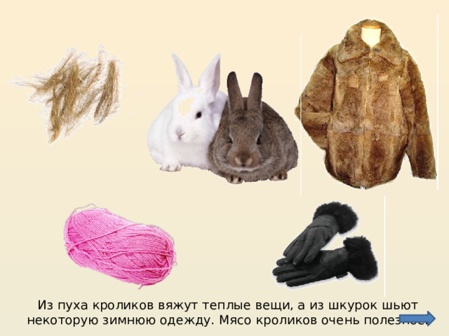 Из пуха кроликов вяжут теплые вещи, а из шкурок шьют некоторую зимнюю одежду. Мясо кроликов очень полезное. 