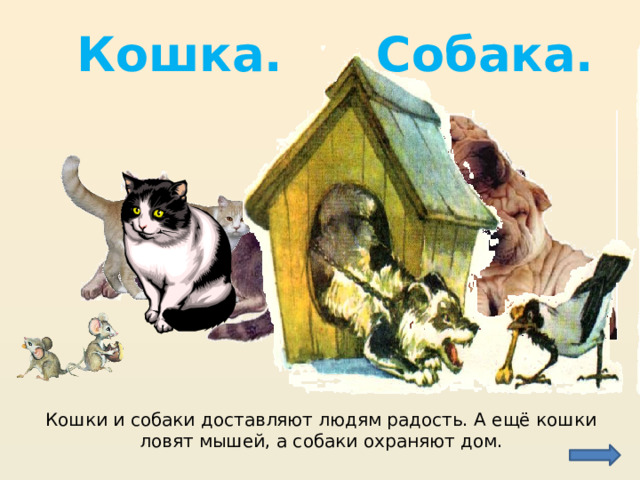 Кошка. Собака. Кошки и собаки доставляют людям радость. А ещё кошки ловят мышей, а собаки охраняют дом. 