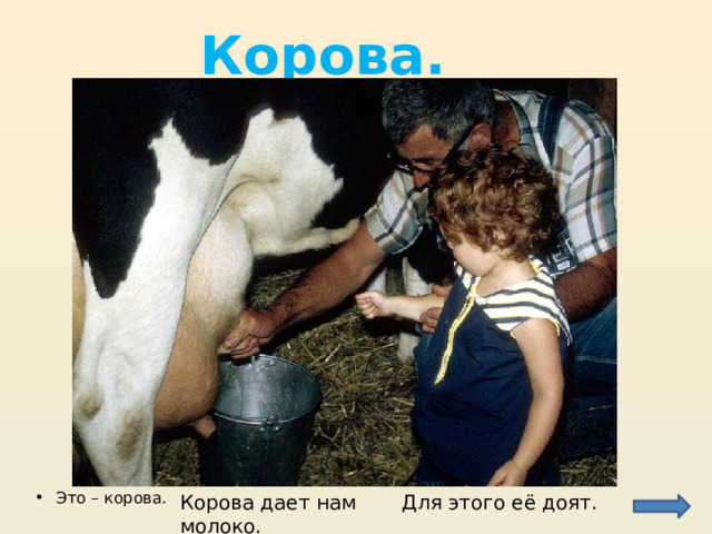 Корова. Это – корова. Для этого её доят. Корова дает нам молоко. 