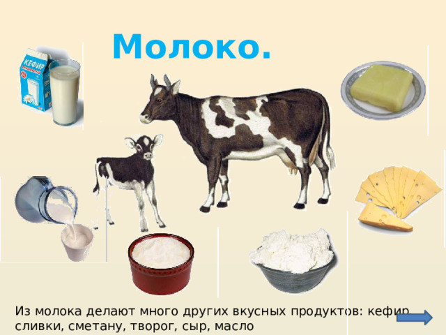 Молоко. Из молока делают много других вкусных продуктов: кефир, сливки, сметану, творог, сыр, масло 