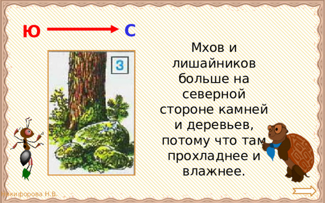 С Ю  Мхов и лишайников больше на северной стороне камней и деревьев, потому что там прохладнее и влажнее. 