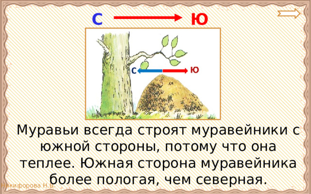 Ю С  Муравьи всегда строят муравейники с южной стороны, потому что она теплее. Южная сторона муравейника более пологая, чем северная. 